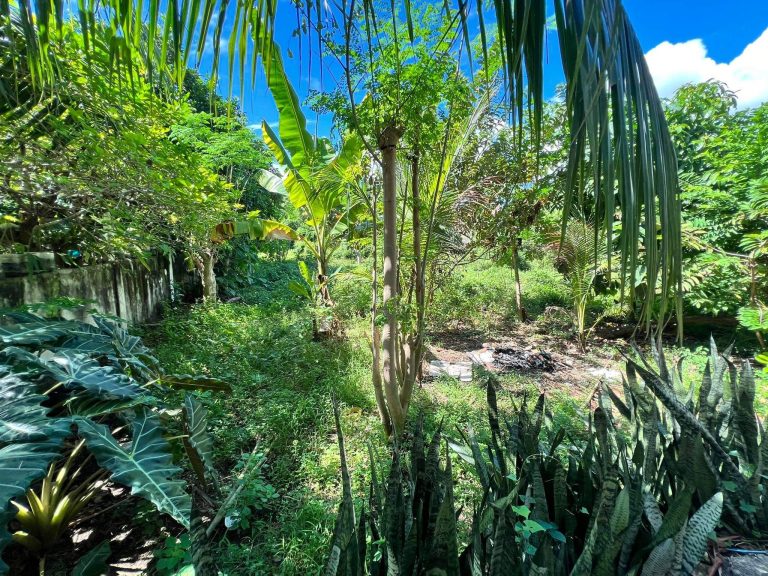 CANJULAO_LLC_PRIMELOTFORSALE (14)