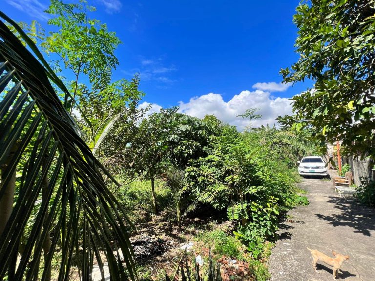 CANJULAO_LLC_PRIMELOTFORSALE (17)