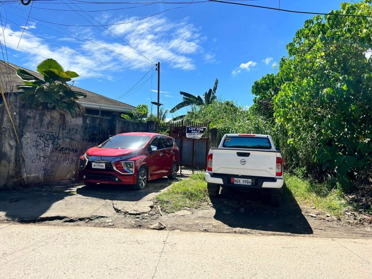 CANJULAO_LLC_PRIMELOTFORSALE (6)